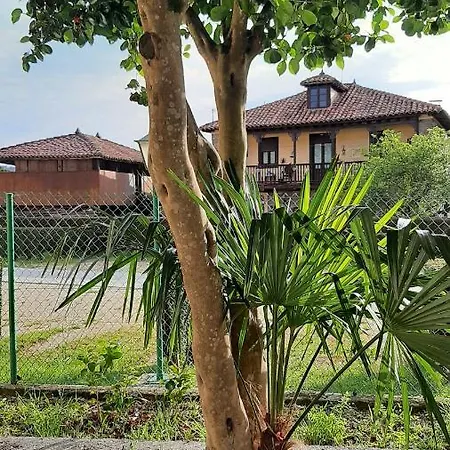 Alvaro Frente Palacio-museo Selgas Hotel *