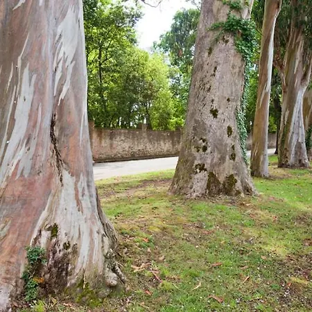 Alvaro Frente Palacio-museo Selgas Hotel