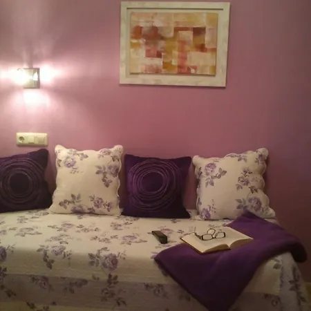 Alvaro Frente Palacio-museo Selgas * Cudillero