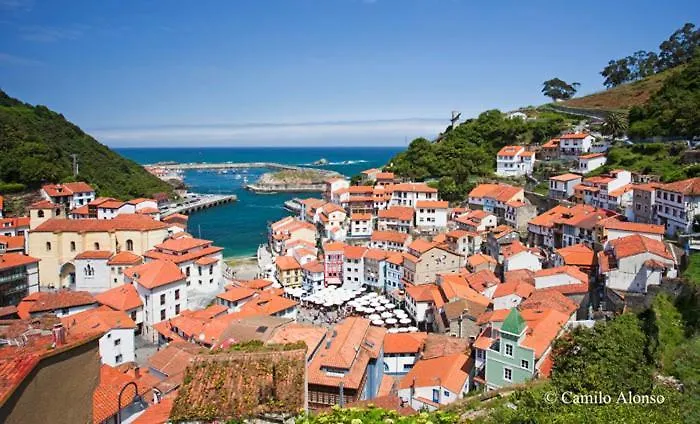 Alvaro Frente Palacio-museo Selgas Hotel