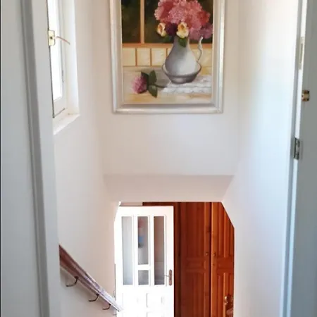 Alvaro Frente Palacio-museo Selgas Cudillero